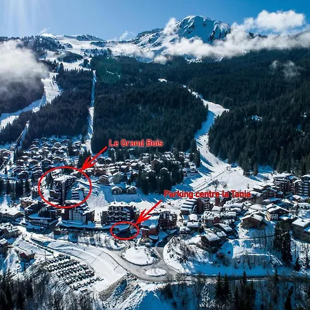 2 Pièces à La Tania, Skis Aux Pieds - 4 Pers, Balcon, Proche Commerces Et Esf - Fr-1-182a-21 Appartement *