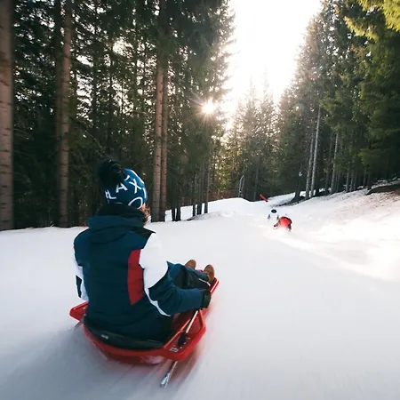 Apartment Confortable 2 Pieces, Skis Aux Pieds, Proche Commerces - Fr-1-182a-21 *