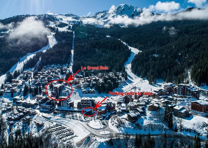 דירה Confortable 2 Pieces, Skis Aux Pieds, Proche Commerces - Fr-1-182a-21