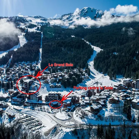 2 Pièces à La Tania, Skis Aux Pieds - 4 Pers, Balcon, Proche Commerces Et Esf - Fr-1-182a-21 Appartement