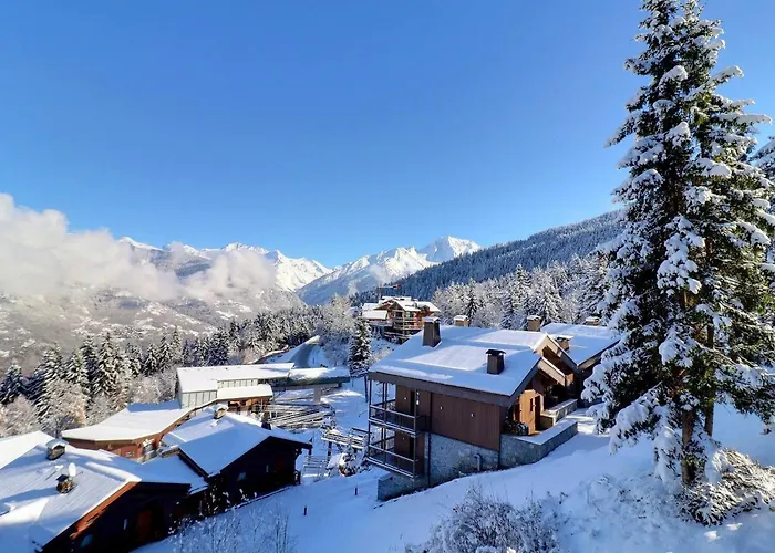 Confortable 2 Pieces, Skis Aux Pieds, Proche Commerces - Fr-1-182a-21 Apartment Courchevel