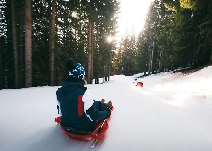 Apartment Confortable 2 Pieces, Skis Aux Pieds, Proche Commerces - Fr-1-182a-21